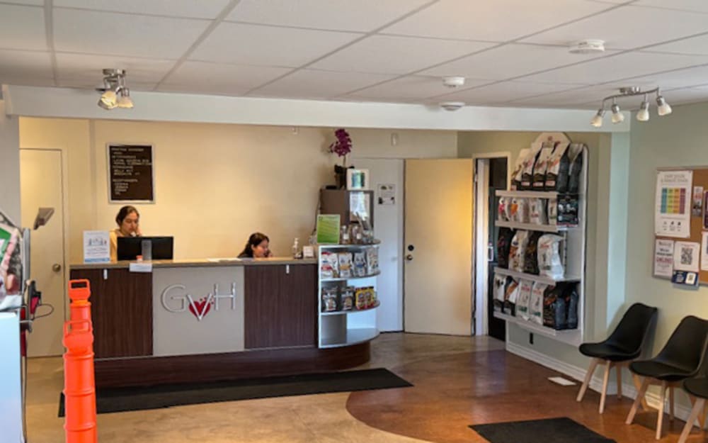 Vets at Gloucester Veterinary Hospital