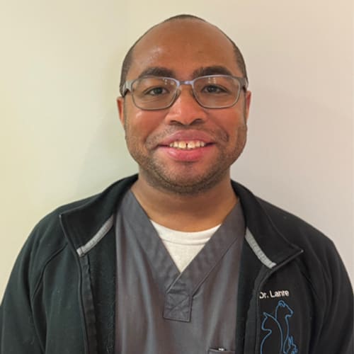 Dr. Lanre Odusote, Orléans Veterinarian