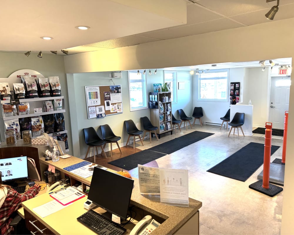 Gloucester Veterinary Hospital in Orléans