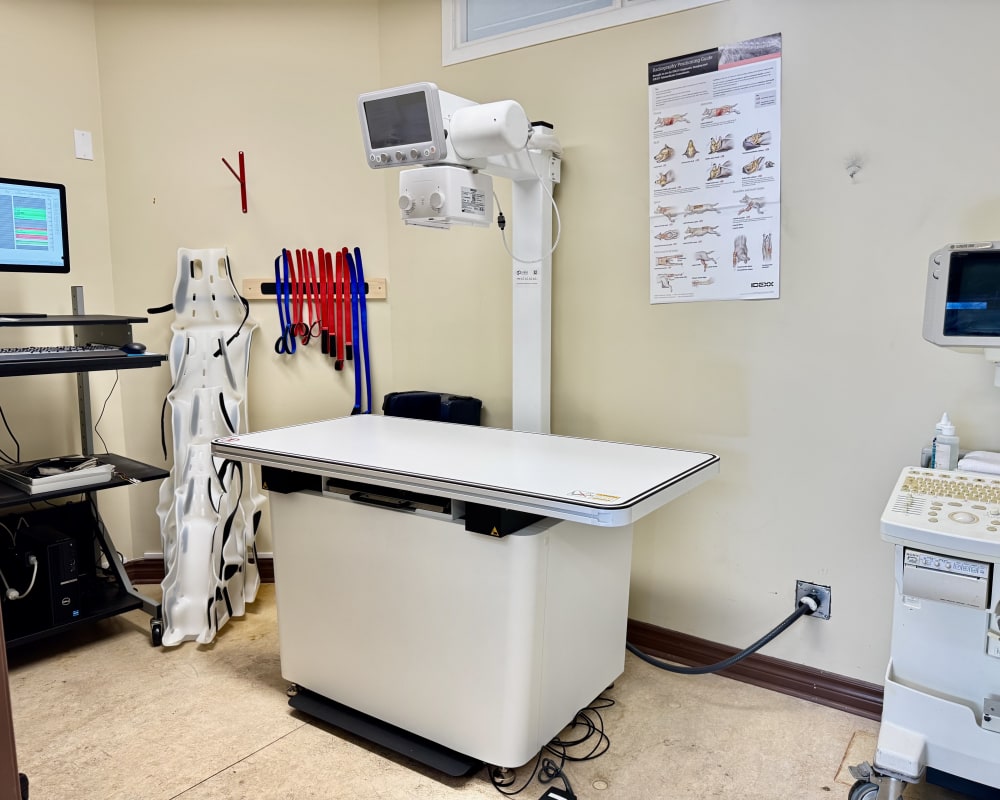 Diagnostic & Lab Technology, Orléans Veterinarian